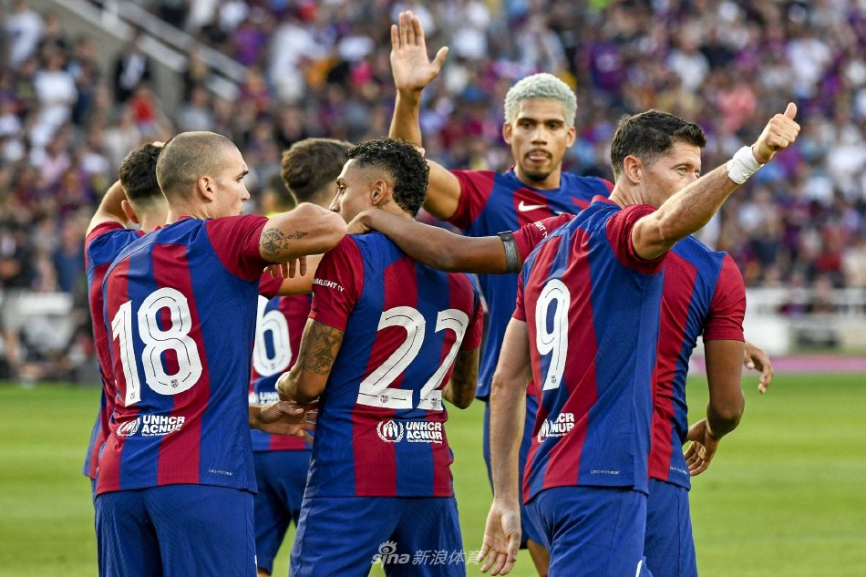 片的归属权 片的归属权